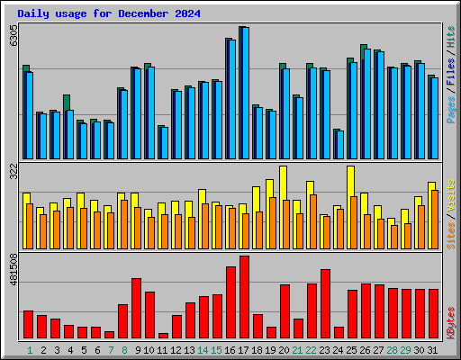 Daily usage for December 2024
