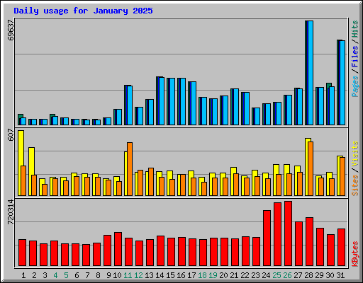 Daily usage for January 2025