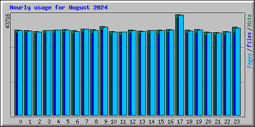 Hourly usage for August 2024
