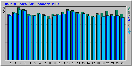 Hourly usage for December 2024