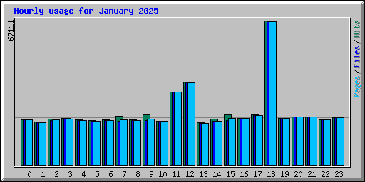 Hourly usage for January 2025