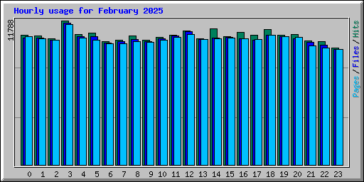 Hourly usage for February 2025