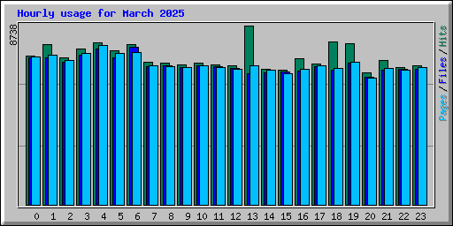 Hourly usage for March 2025