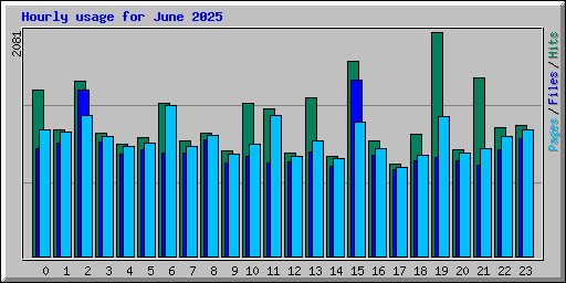 Hourly usage for June 2025