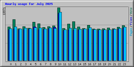 Hourly usage for July 2025