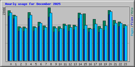 Hourly usage for December 2025