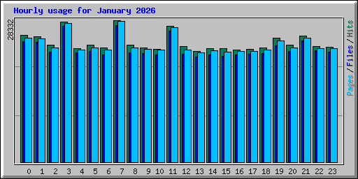 Hourly usage for January 2026