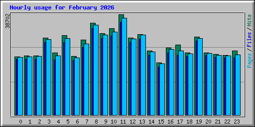 Hourly usage for February 2026